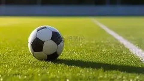 刘氏兄弟短道速滑荣归赛场，引环球时报关注